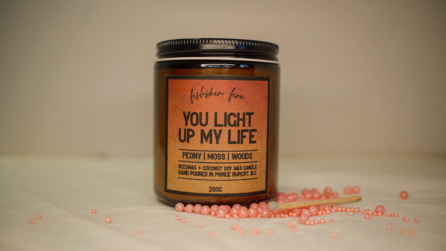 You Light Up My Life