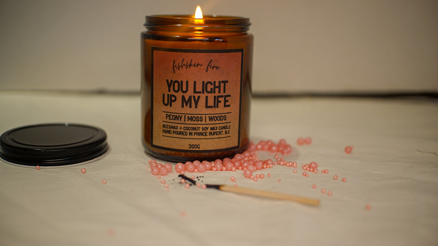 You Light Up My Life