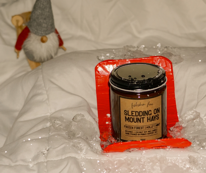 Sledding on Mount Hays