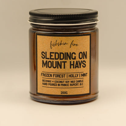 Sledding on Mount Hays