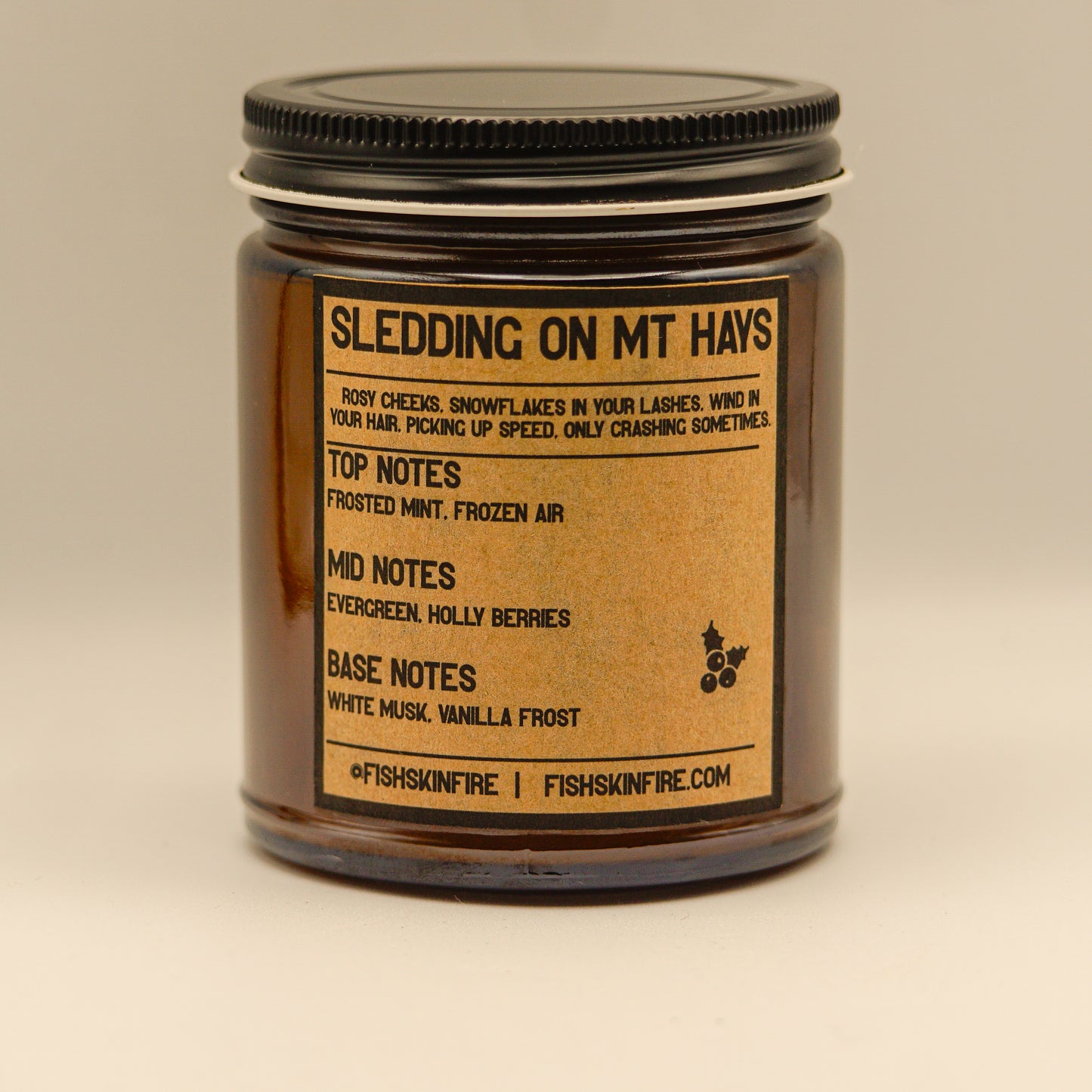 Sledding on Mount Hays