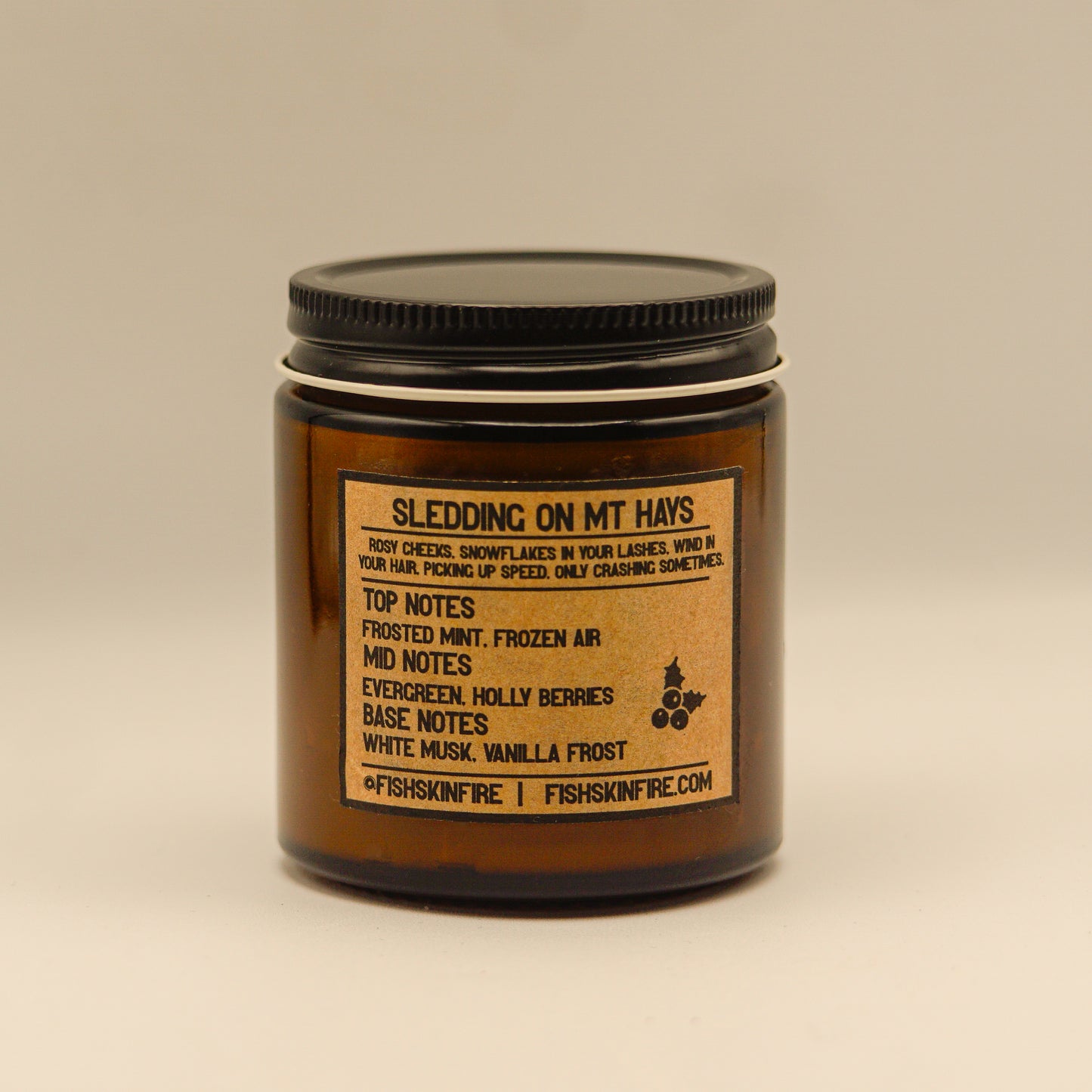 Sledding on Mount Hays